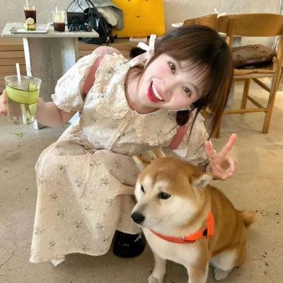 错误的世界 海报