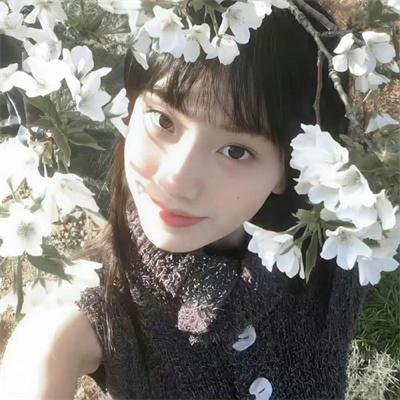 维和部队 海报